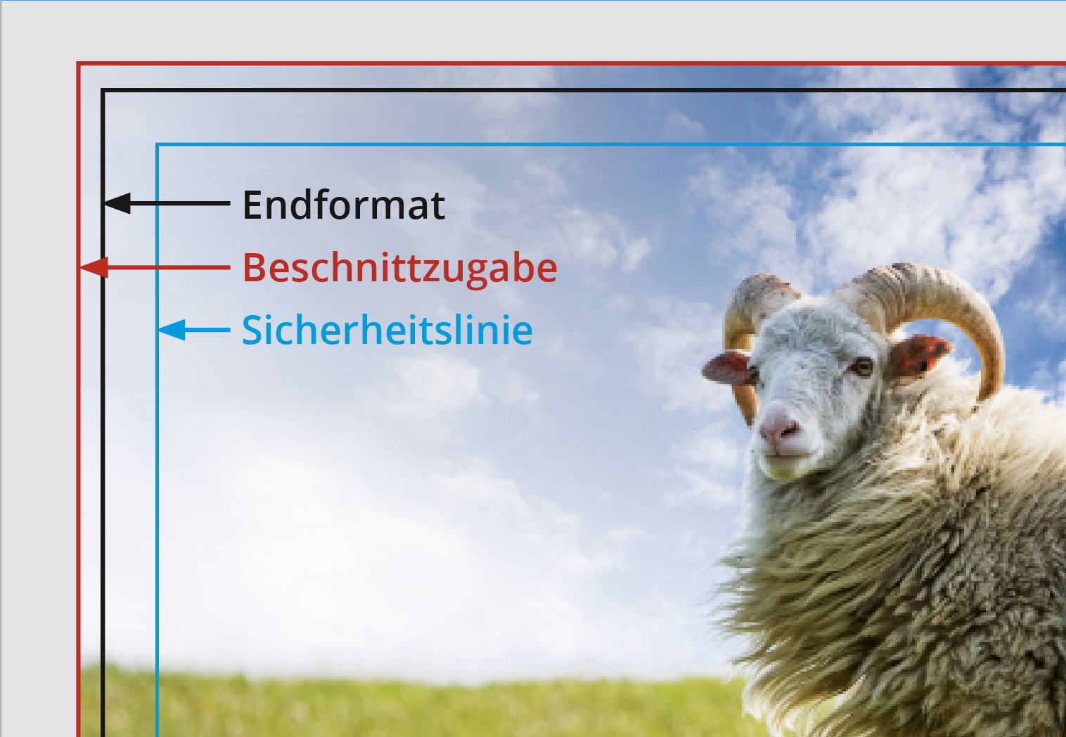 Beschnittzugabe Beschnittzugabe